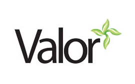 5 logo valorplus