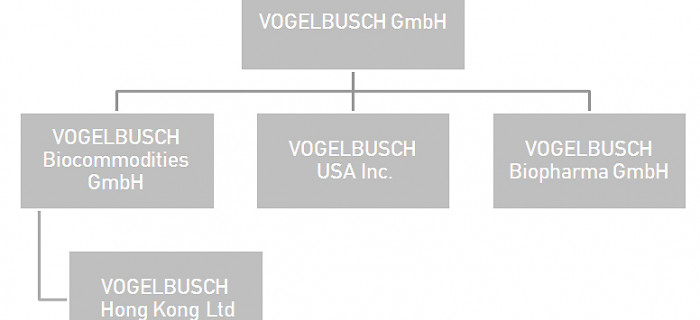 5 vbgruppe organigramm