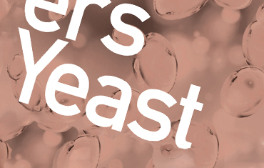 Yeast