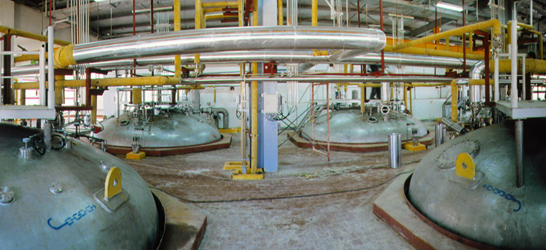 Citric Acid Plant near Cairo