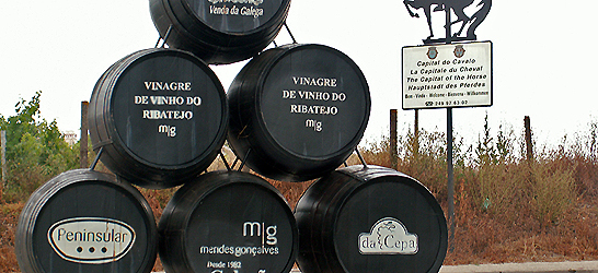 Vinegar fermenter in Golegã