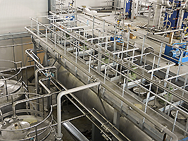 Glucose plant for processing compex in Ishim