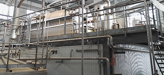 Glucose plant for processing compex in Ishim