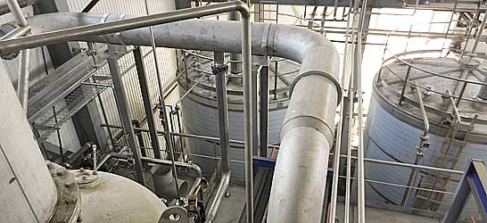 Glucose plant for processing compex in Ishim