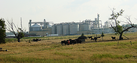Bioethanol Plant in Ravenna