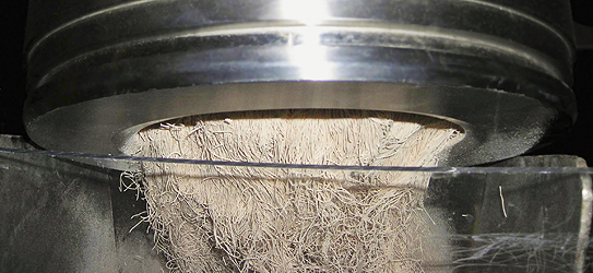 Yeast plant in Ahvaz