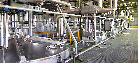 Yeast plant in Ahvaz